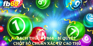 Bạch thủ lô