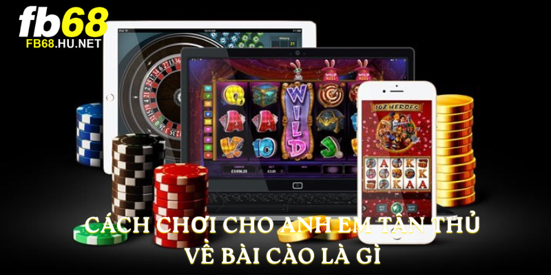 Cách chơi cho anh em tân thủ về Bài cào là gì