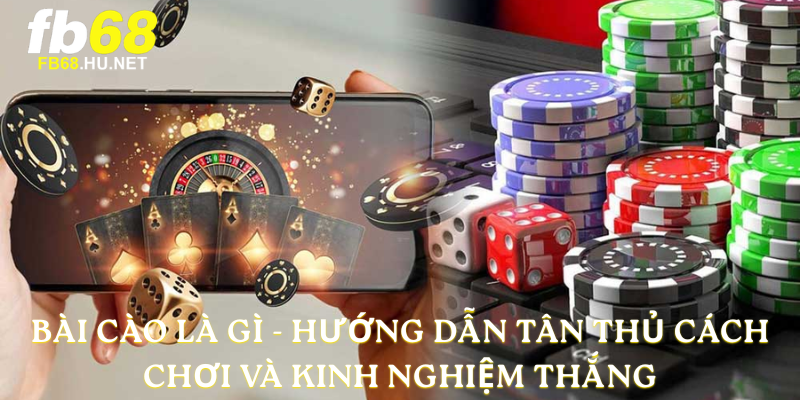 Bài cào là gì