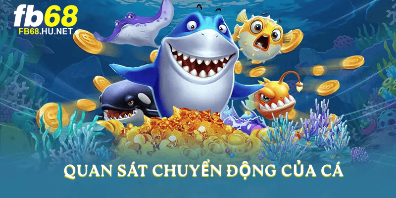 Quan sát chuyển động của cá