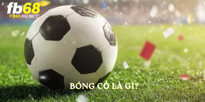 Bóng cỏ là gì?