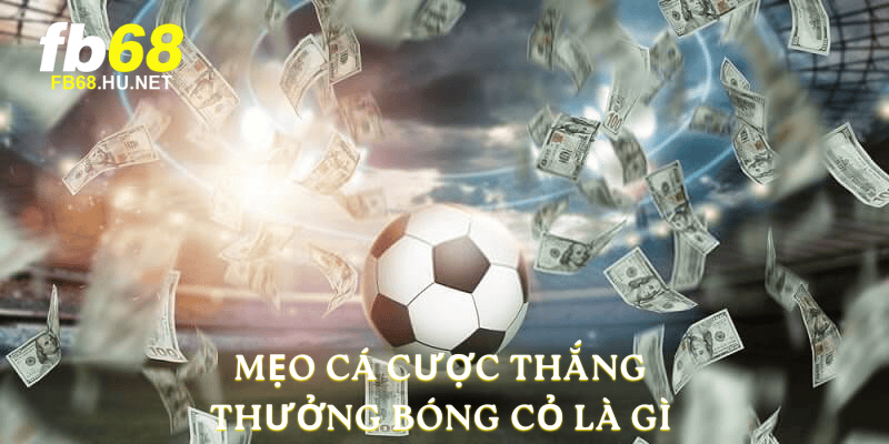 Mẹo cá cược thắng thưởng bóng cỏ là gì 