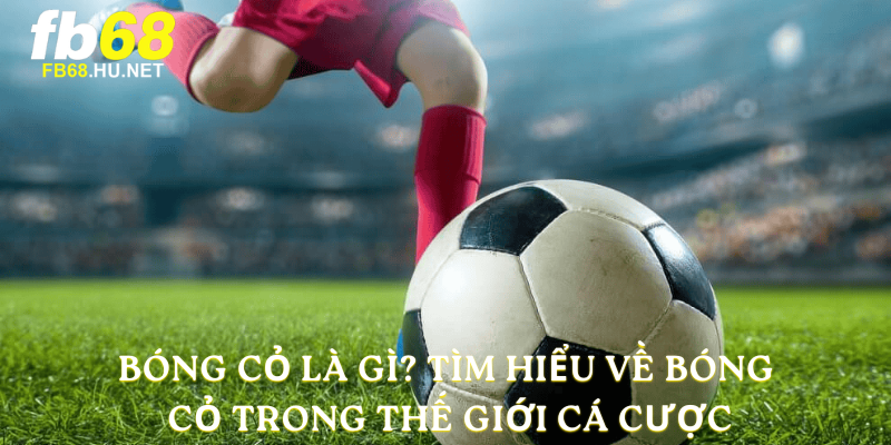Bóng cỏ là gì
