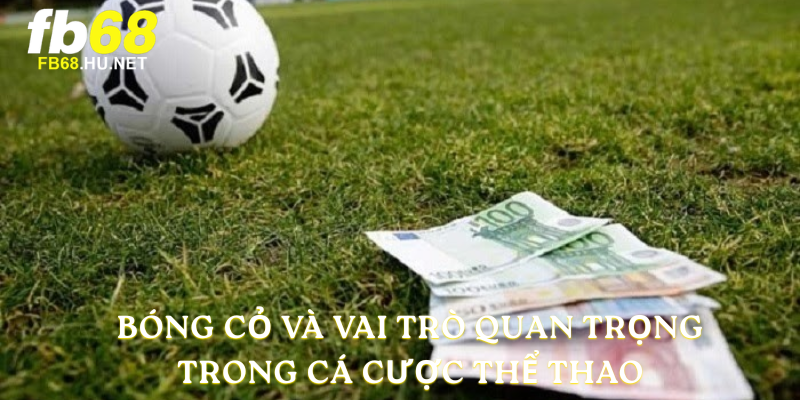 Bóng cỏ và vai trò quan trọng trong cá cược thể thao