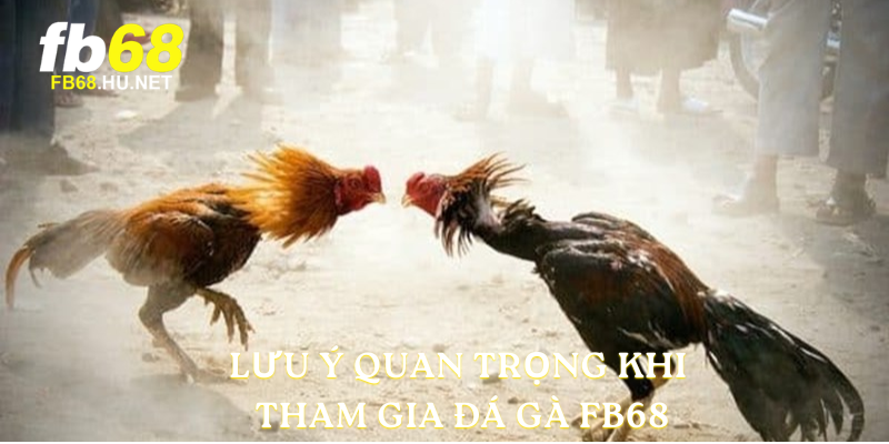Lưu ý quan trọng khi tham gia đá gà FB68