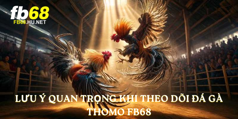 Lưu ý quan trọng khi theo dõi Đá Gà Thomo FB68