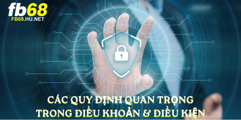 Các quy định quan trọng trong Điều Khoản & Điều Kiện
