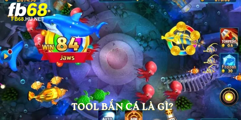 Tool bắn cá là gì?