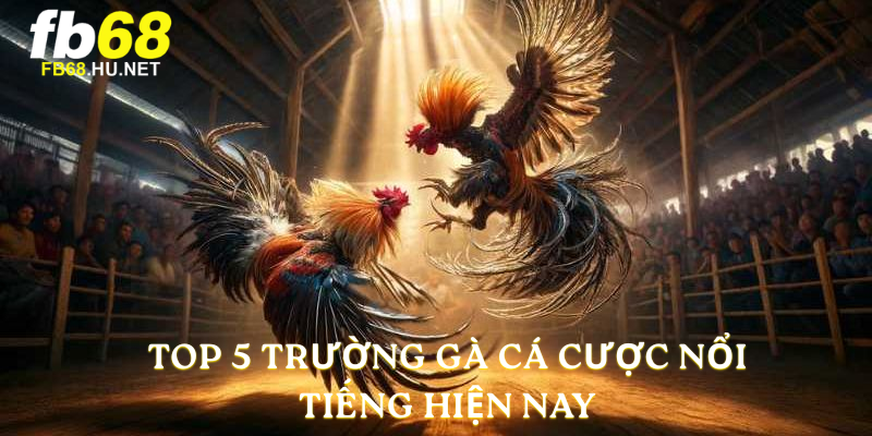 Top 5 trường gà cá cược nổi tiếng hiện nay