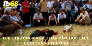 Top 5 trường gà