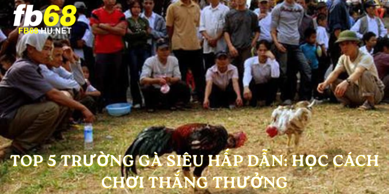 Top 5 trường gà